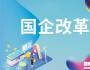 國有企業混合所有制改革操作流程與步驟