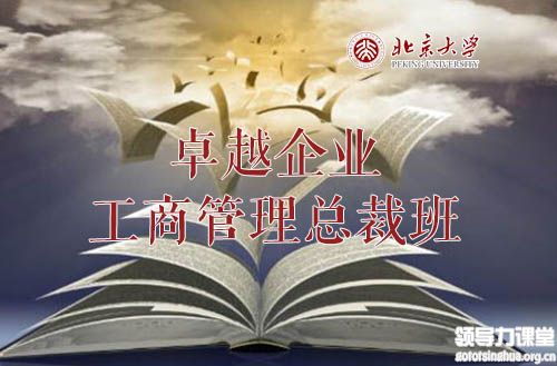北京大學(xué)卓越企業(yè)工商管理總裁班